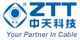 Jiangsu Zhongtian Technology